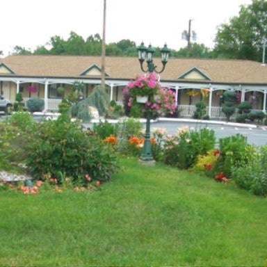 Image #1 of 5-Garden