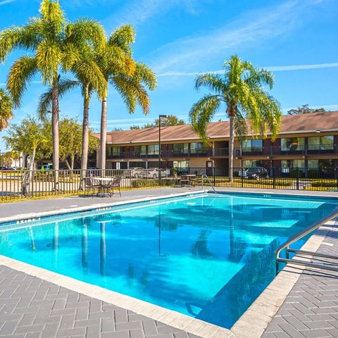 A rectangular swimming pool with a blue surface and a tiled border is surrounded by a patio and palm trees.