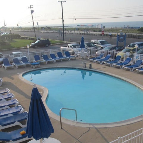 A hotel pool area with rows of blue lounge chairs and umbrellas, situated near a road and a body of water.