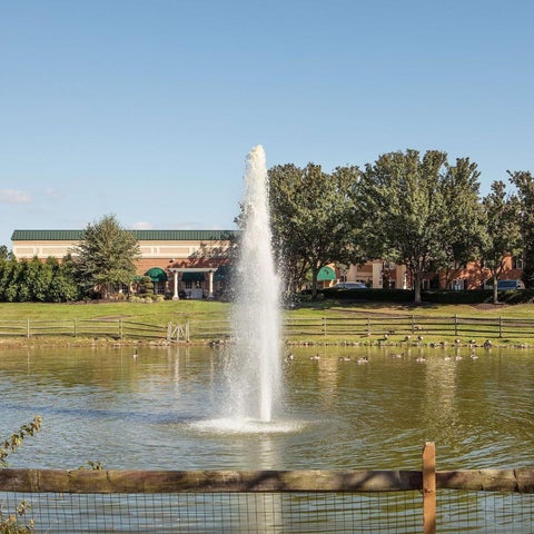 A Hilton hotel features a fountain in a pond surrounded by trees and a grassy area with a fence.