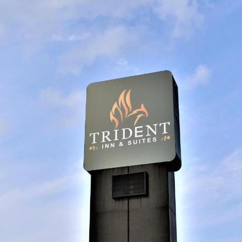 Image #1 of 5-Logo/Certificate/Sign/Award