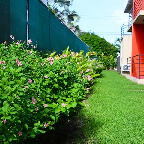 Image #1 of 5-Property Building