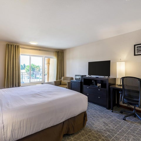 A hotel room features a king-size bed, a desk, a chair, and a window overlooking a patio area.