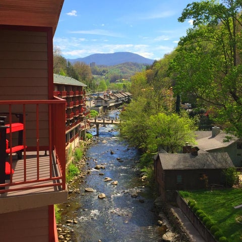 Image #1 of 5-Mountain View