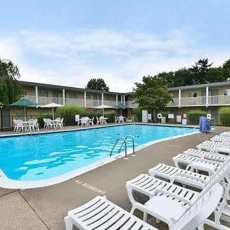 A rectangular blue swimming pool surrounded by white lounge chairs and umbrellas, with a building in the background.