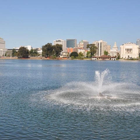 A wide view of Sacramento, California, showcasing the city skyline reflected in a lake with a fountain in the foreground.